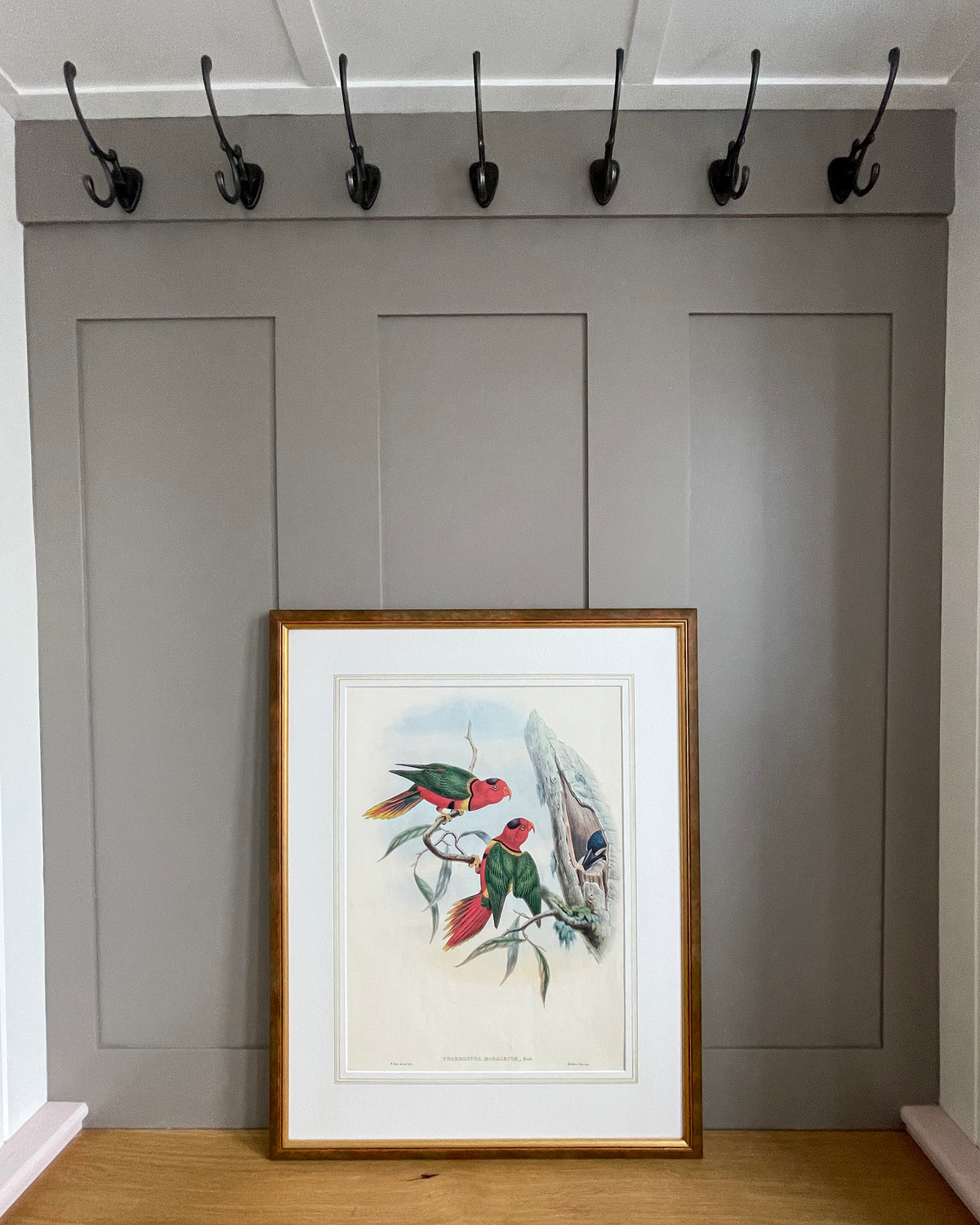Framed Print Duchess Lorikeet Birds Of New Guinea John Gould VINTAGE