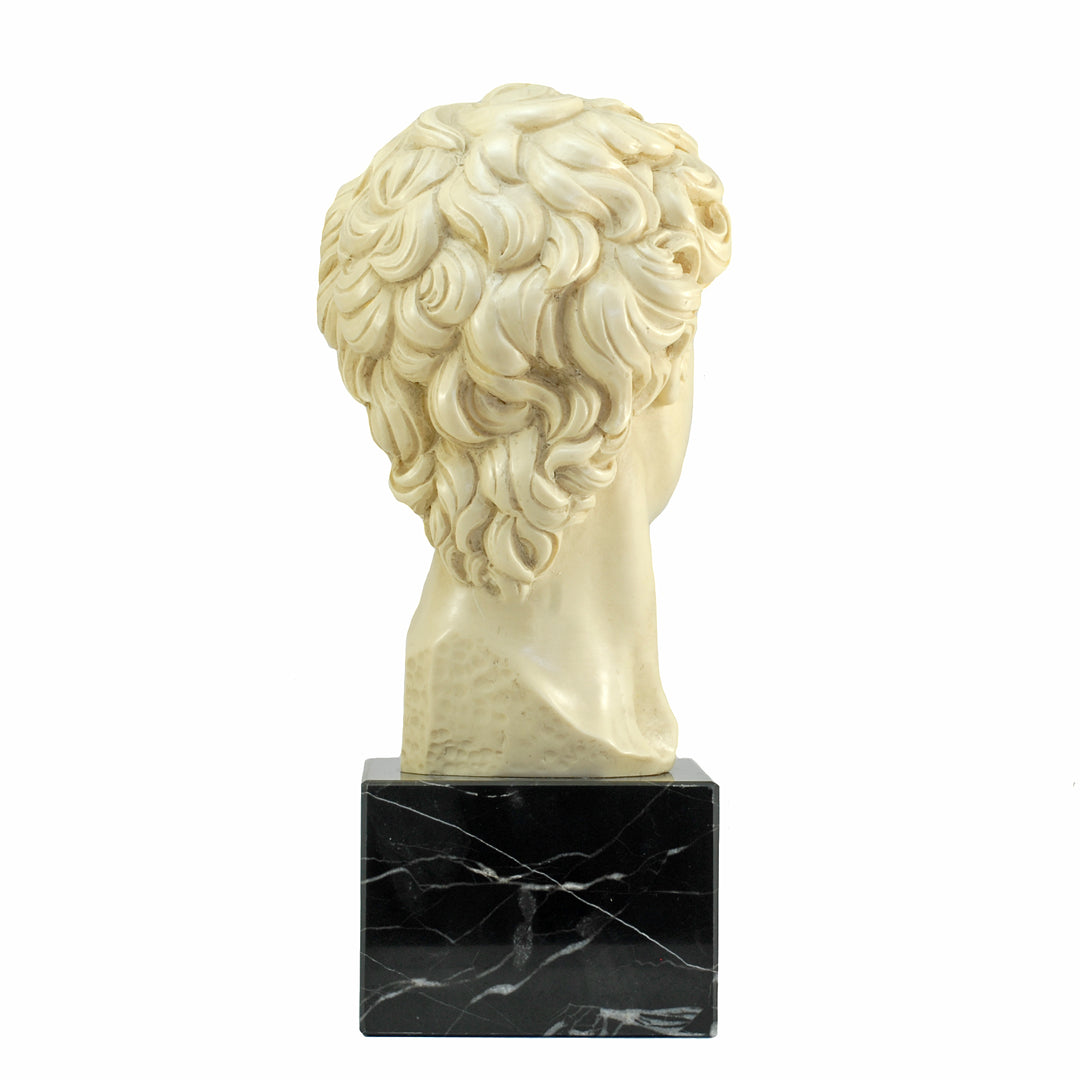 6.5" Bust Of Michelangelo's David Alabaster & Resin Sculpture Gino Ruggeri Italy VINTAGE