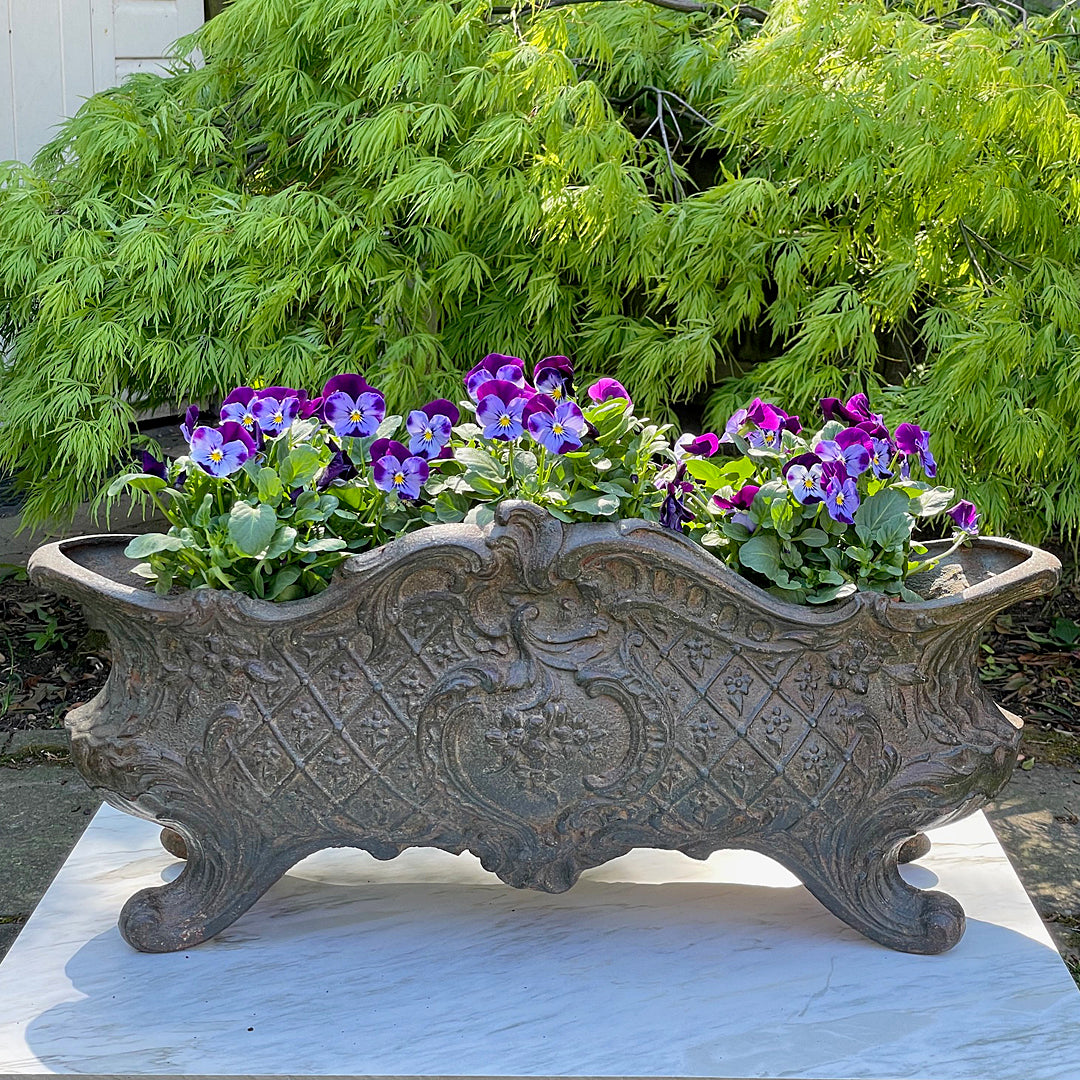 Large Cast Iron Garden Planter Louis XV Rococo Style French 1890's ANTIQUE