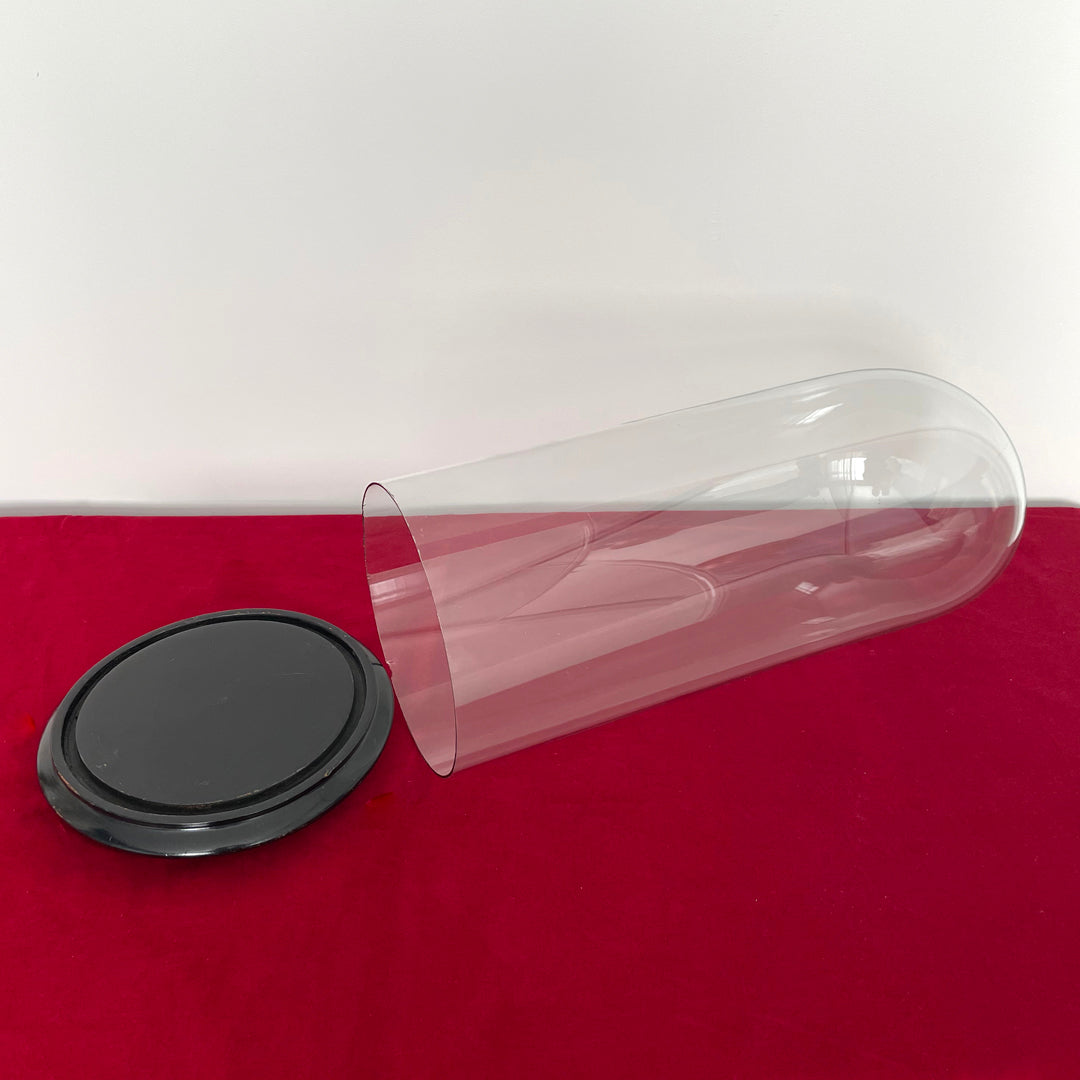 Tall 17.5" Glass Dome & Ebonised Wooden Base For Taxidermy or Displays ANTIQUE