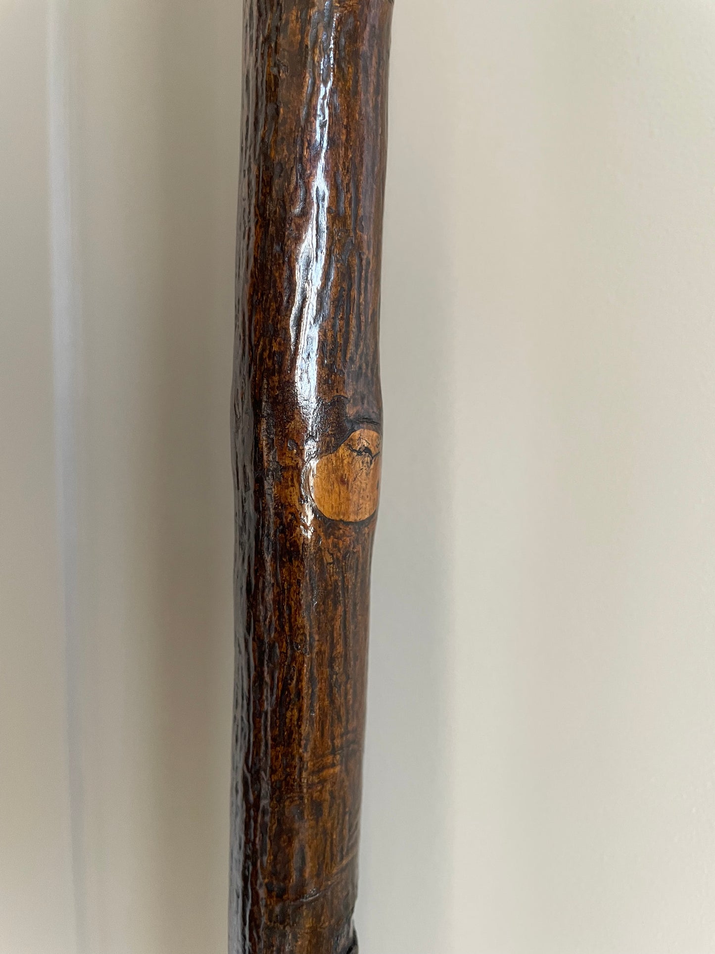 A Blackthorn Walking Stick Knob Handle Length 85cm / 33.5" VINTAGE