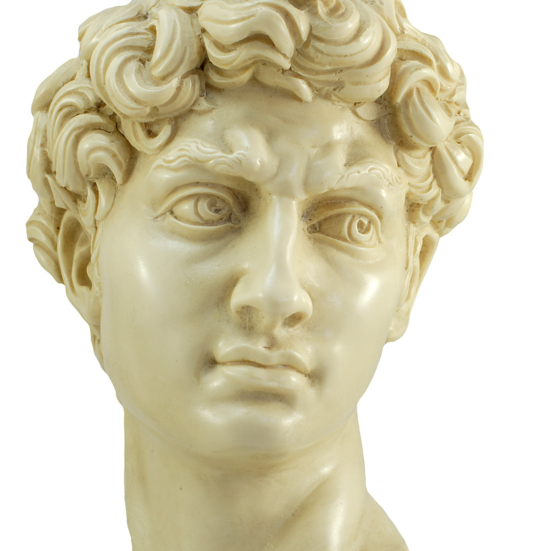 6.5" Bust Of Michelangelo's David Alabaster & Resin Sculpture Gino Ruggeri Italy VINTAGE