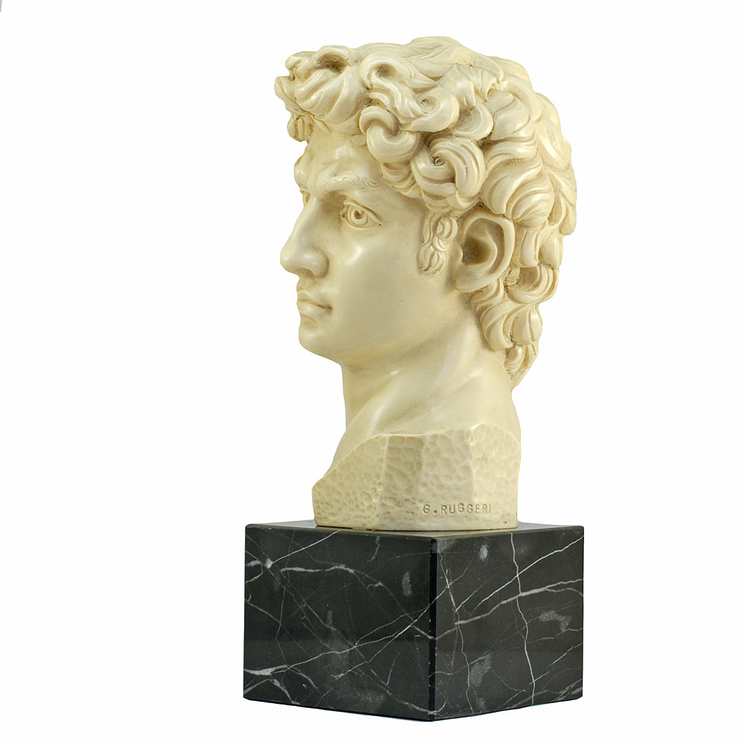 6.5" Bust Of Michelangelo's David Alabaster & Resin Sculpture Gino Ruggeri Italy VINTAGE