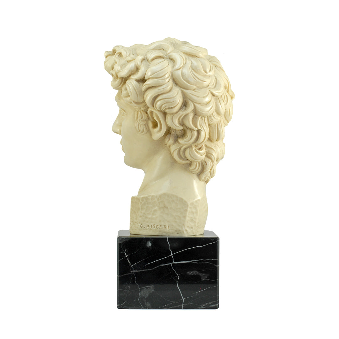 6.5" Bust Of Michelangelo's David Alabaster & Resin Sculpture Gino Ruggeri Italy VINTAGE