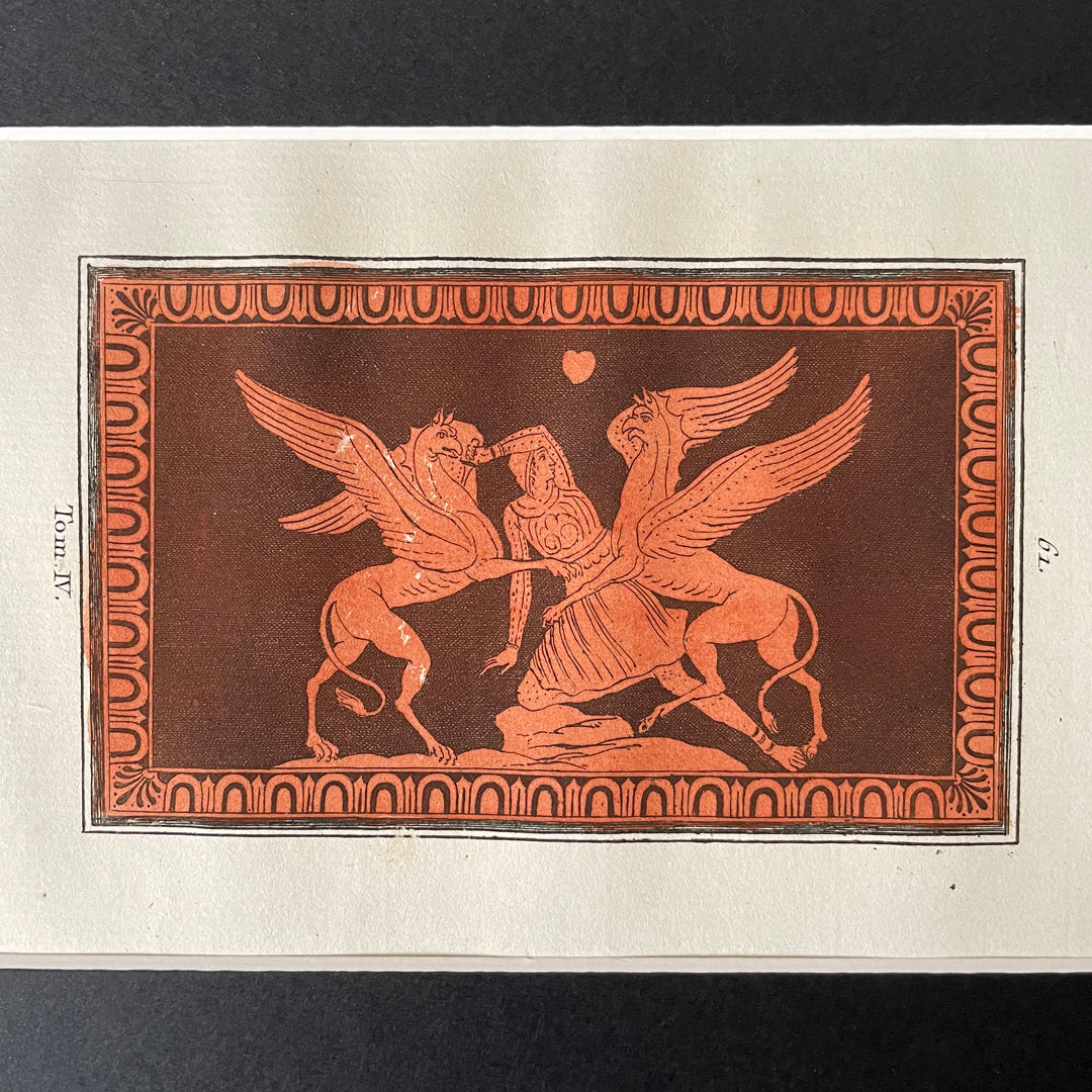Engraving Arimaspi & Griffins Plate 61 William Hamilton 1787 ANTIQUE
