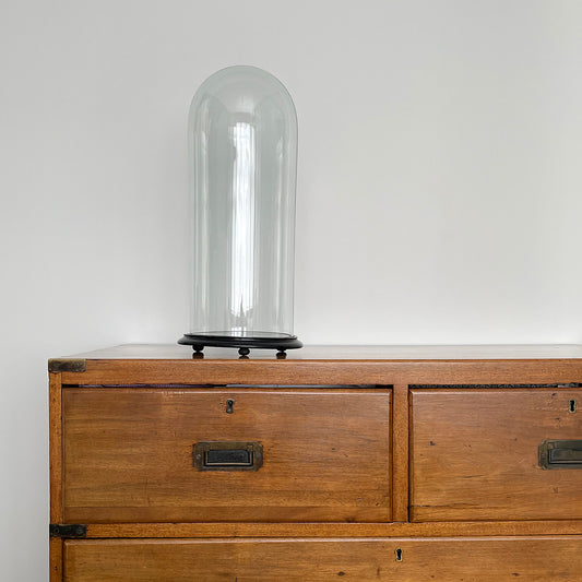 Tall 17.5" Glass Dome & Ebonised Wooden Base For Taxidermy or Displays ANTIQUE