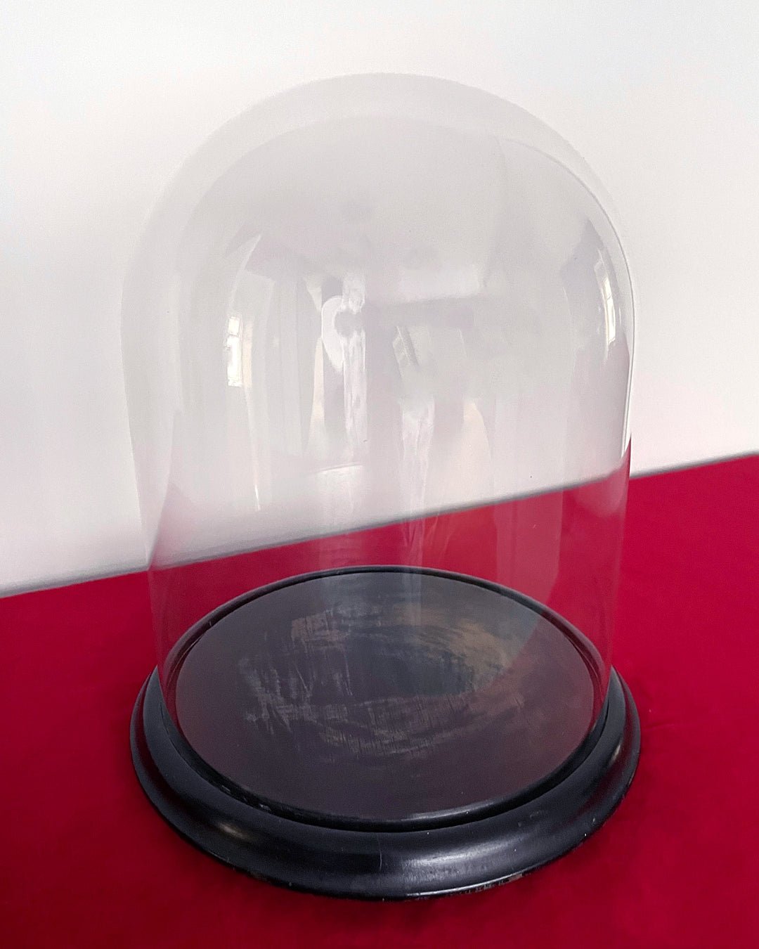 Large 12" Glass Dome & Ebonised Wooden Base For Taxidermy or Displays ANTIQUE