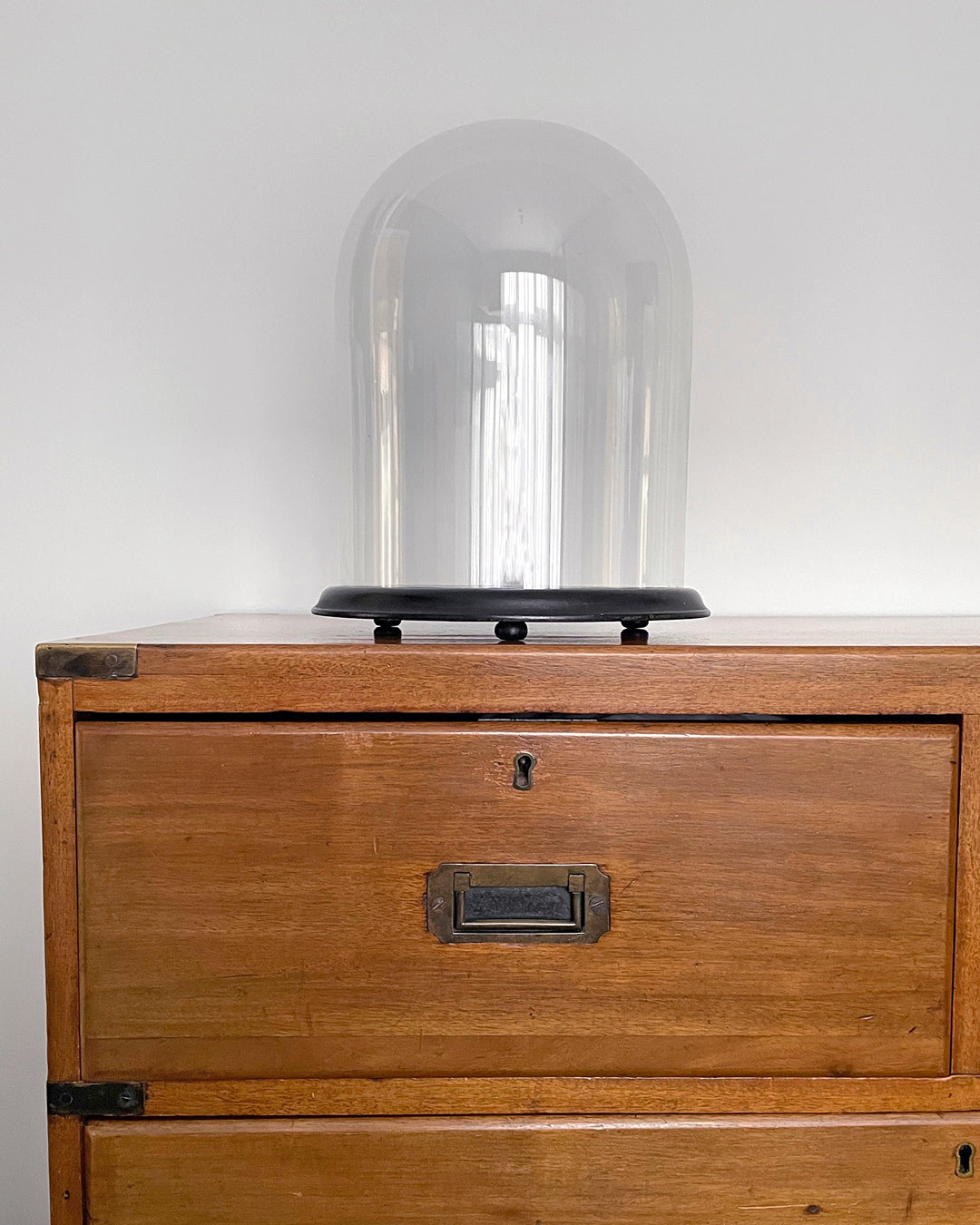 Large 12" Glass Dome & Ebonised Wooden Base For Taxidermy or Displays ANTIQUE